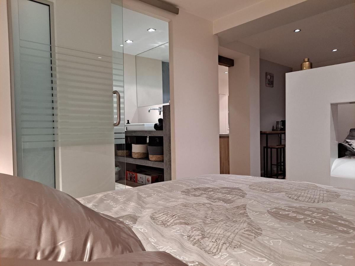 Boigne Sweet Suite Chambéry Exteriör bild
